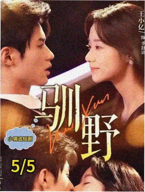 酥酥影院对话戏镜头调度卡片封面